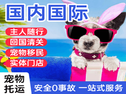 通化航空快运国际宠物托运 【国